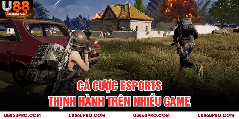 Cá cược Esports thịnh hành trên nhiều game