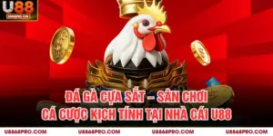 Đá Gà Cựa Sắt – Sân Chơi Cá Cược Kịch Tính Tại Nhà Cái U88